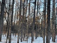 -长春市南湖公园