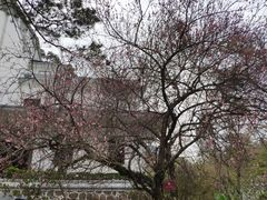 -广东温泉宾馆