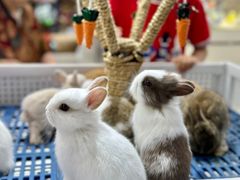 -三旗百汇商品城