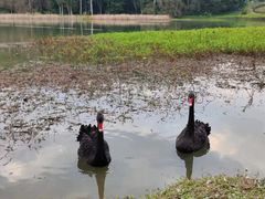 -福建鲤鱼洲酒店