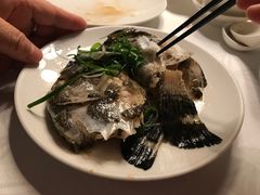 -欣叶食艺轩