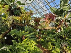 -国家植物园南园