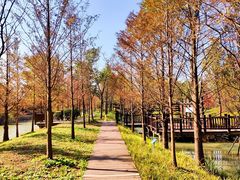 -柳鹭田园区