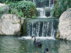 -南宁荔园维景国际酒店·荔园中餐厅