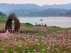 -木洞河街