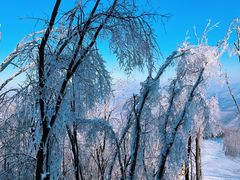-中旅松花湖滑雪场