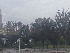 -范蠡湖公园