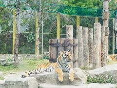 -上海野生动物园