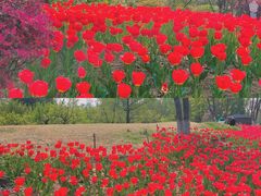 -祥源·阜阳生态乐园