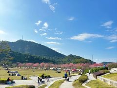 -风云岭森林公园