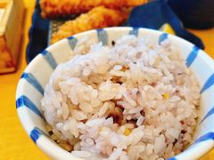 -胜博殿日式炸猪排(西红门店)