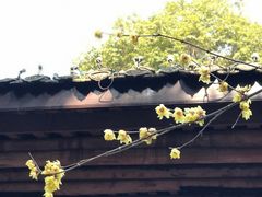 -成都杜甫草堂博物馆