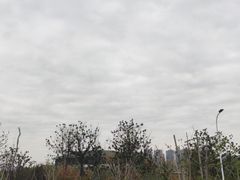 -皇粮浜公园