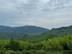 -江南天池