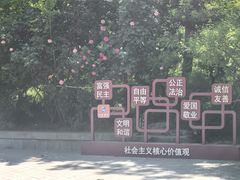 -北极寺公园