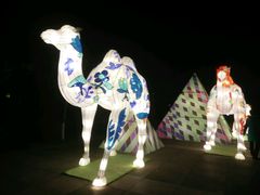 -西安汉城湖景区