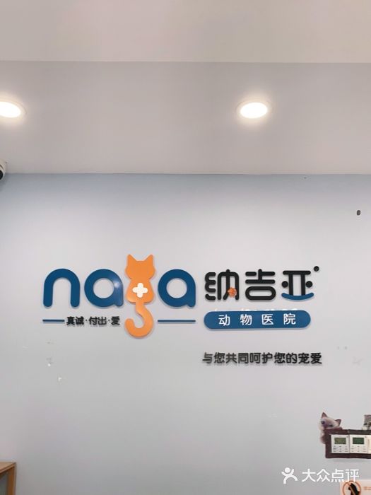 纳吉亚猫专科动物诊疗中心(蒋宅口分院)图片