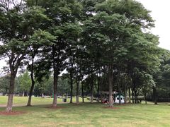 -尚贤河湿地
