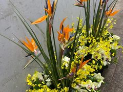 -双季花艺园艺市场(浦东店)
