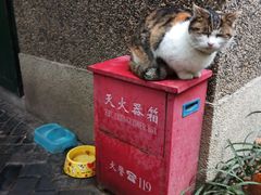 -巴金故居