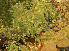 -南山风景名胜区