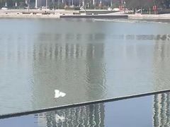 -无锡市市民中心