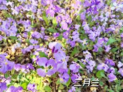 -国家植物园