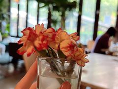 -the rug 飞毯 (朝阳公园店)