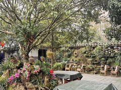 -青城甲(青城山店)