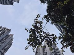 -民心佳园(地铁站)