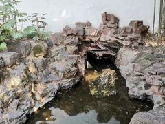 -秋霞圃