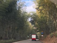 -广州市石门国家森林公园