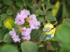-上海财经大学(国定路校区)