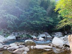 -炎陵县神农谷国家森林公园
