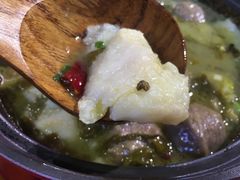 -周鱼小馆石锅酸菜鱼(活力汇店)