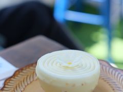 -Sirena海妖日咖夜酒