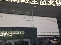 -芸山季·云南山珍菌火锅(南翔印象城MEGA店)