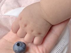 -花山蓝莓采摘园