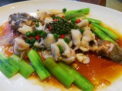 -猪肉婆私房菜(容桂总店)