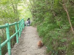 -孤山寨风景区