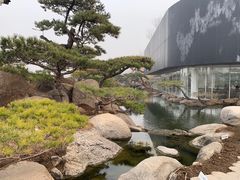 -罗红摄影艺术馆