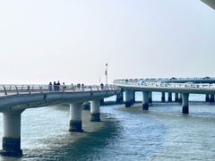 -演武大桥观景平台