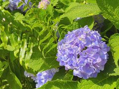 -星巴克臻选(深圳罗湖万象城店)