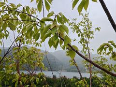 -崂山巨峰游览区