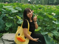 -莲湖公园