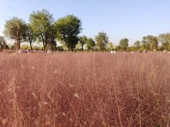 -汉长安城未央宫国家考古遗址公园