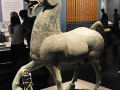 -广西壮族自治区博物馆