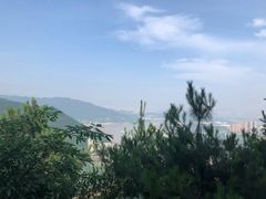 -铁山坪森林公园