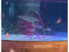 -沈阳海洋探索中心