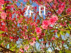 -西湖公园(鼓楼区)